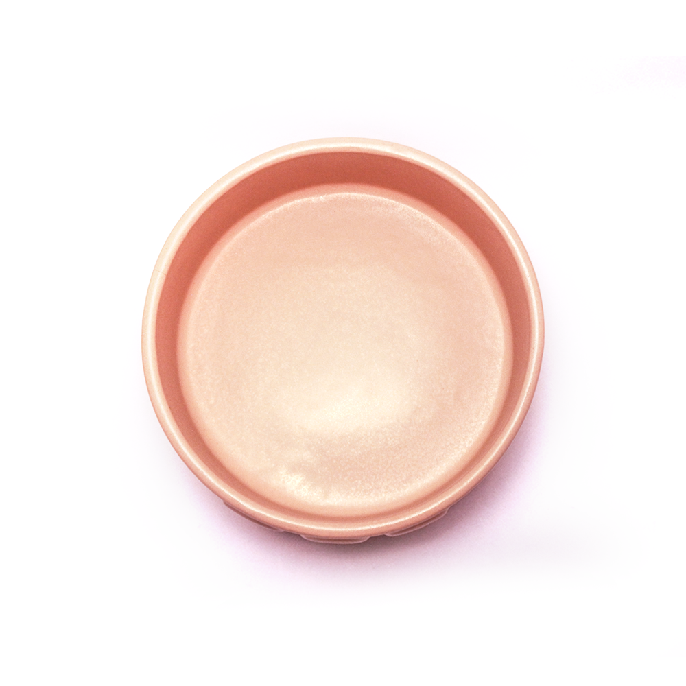 Premium Dog Bowl with Wooden Base