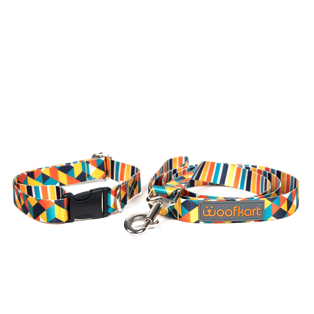 Geometric & Stripes Collar & Leash Set