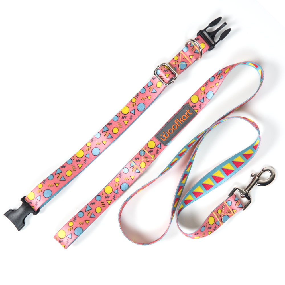 Shapes in Pink Collar & Leash Set