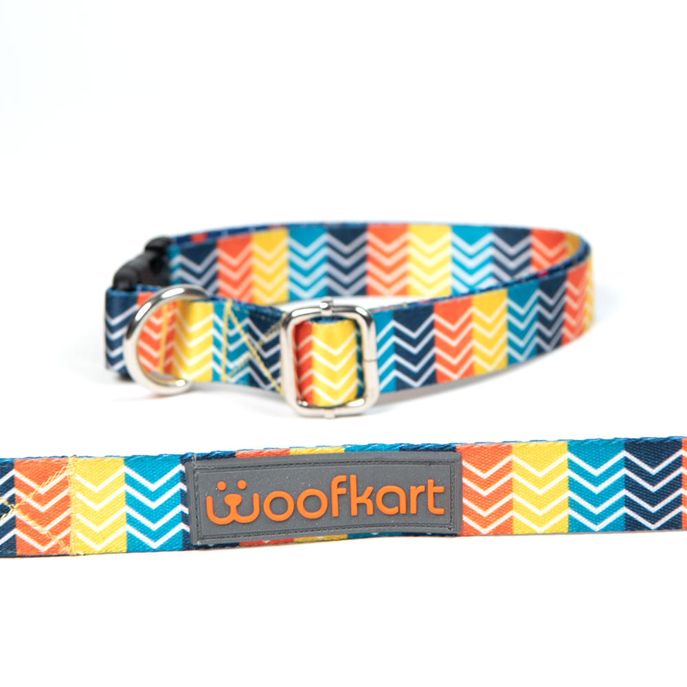 Stripes in Garden Collar & Leash Set