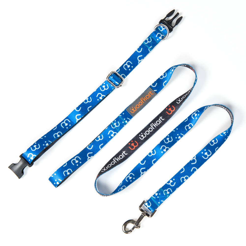 Woof Special Collar & Leash Set