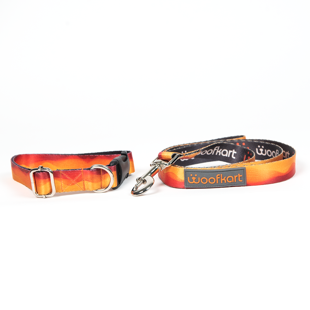 Sunset Waves Collar & Leash Set