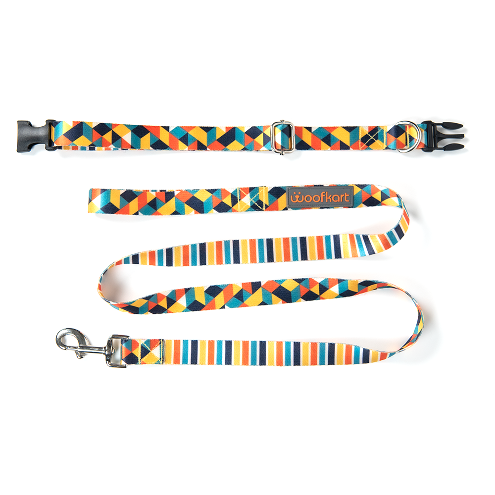 Geometric & Stripes Collar & Leash Set