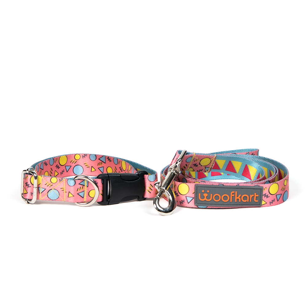 Shapes in Pink Collar & Leash Set