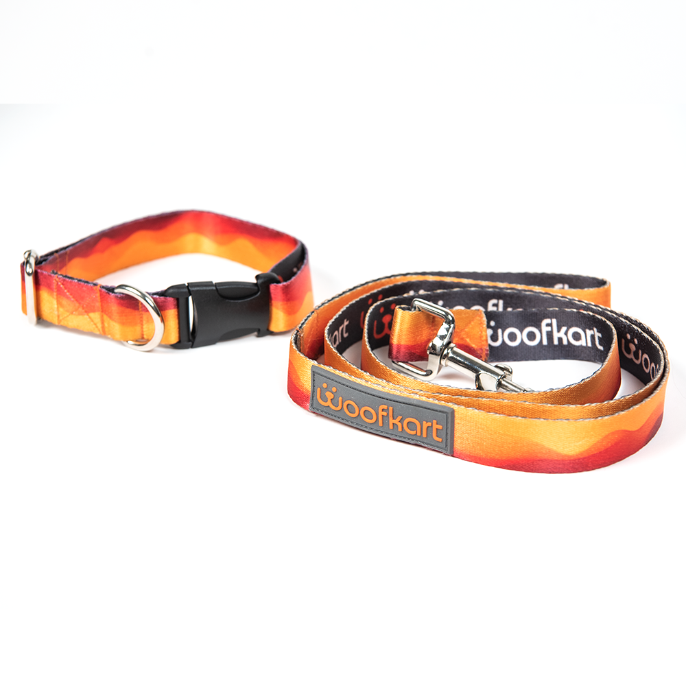 Sunset Waves Collar & Leash Set