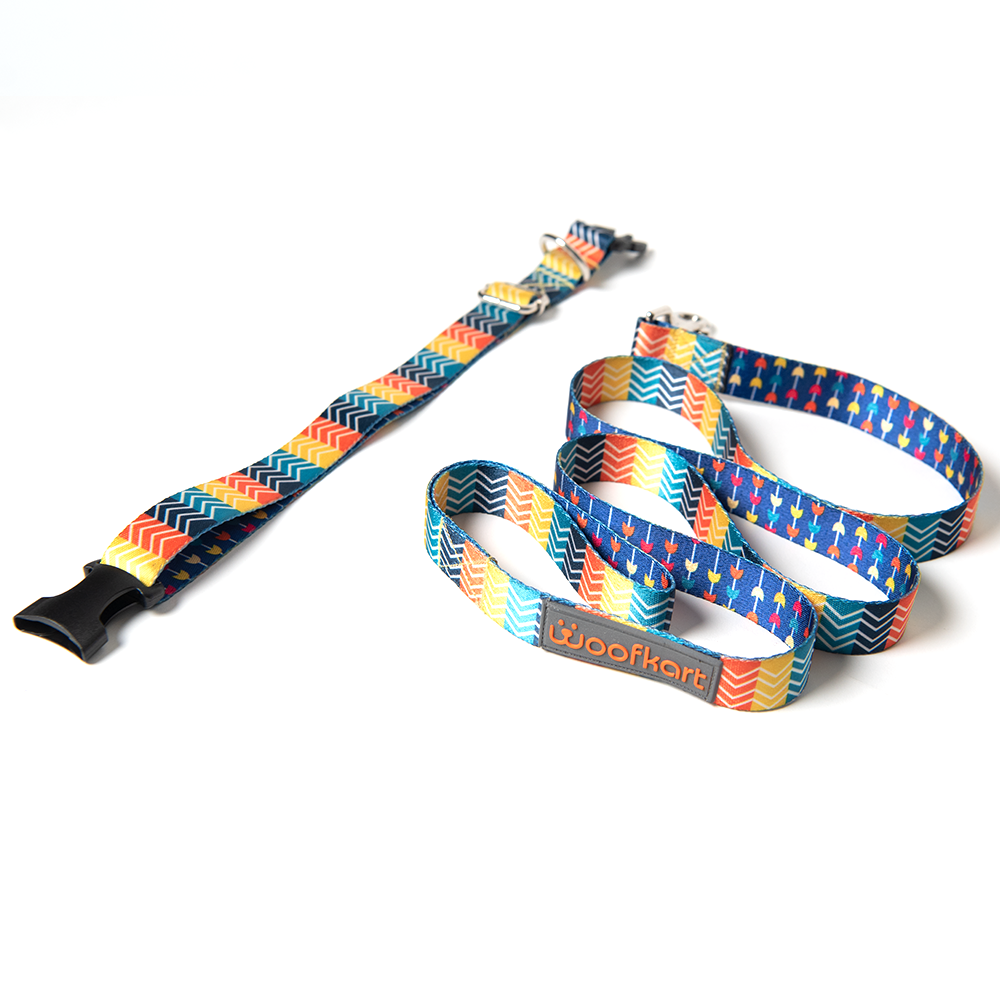 Stripes in Garden Collar & Leash Set