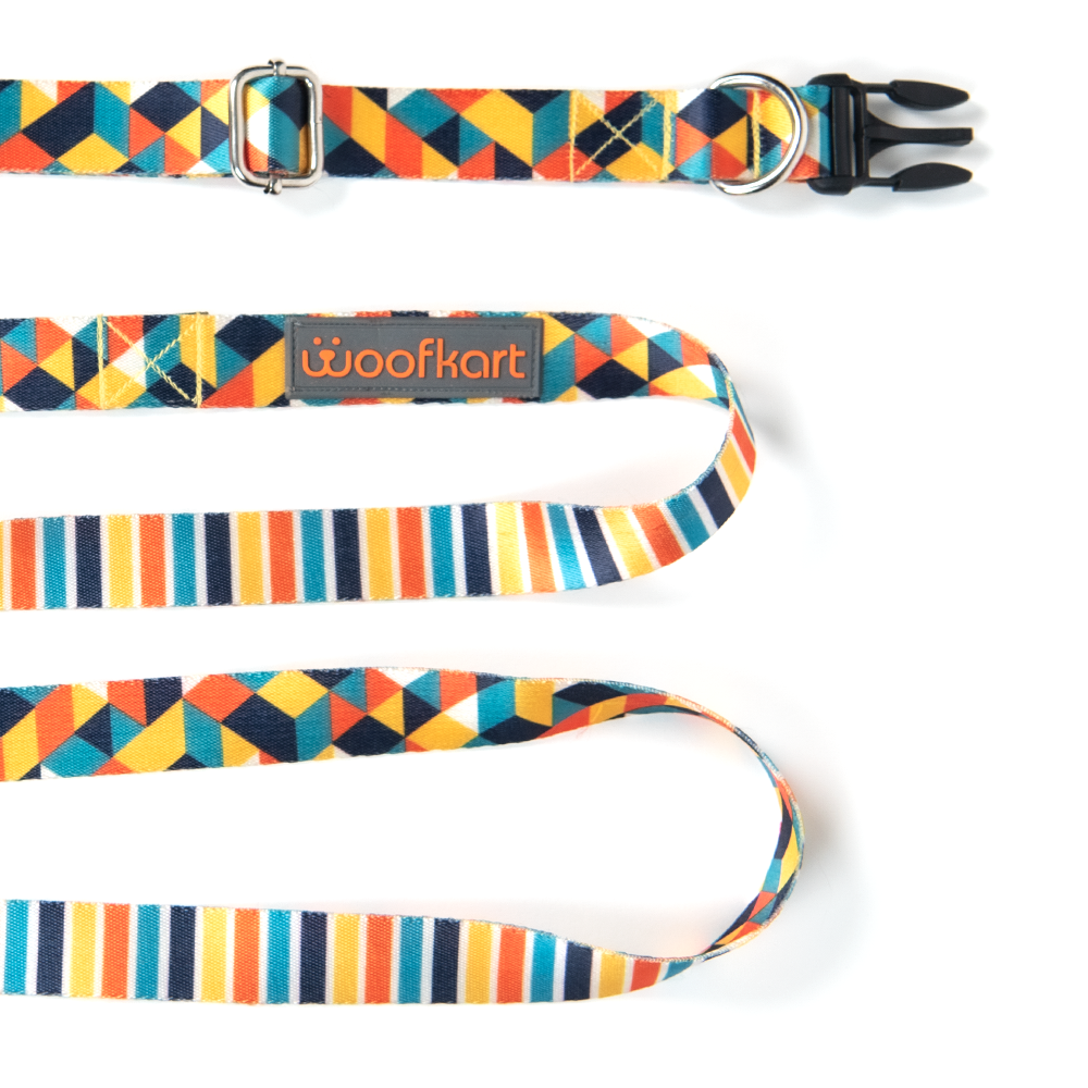 Geometric & Stripes Collar & Leash Set