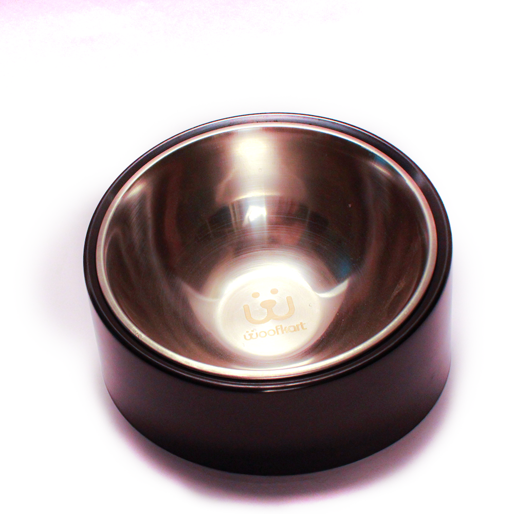 Slanted Dog Bowl