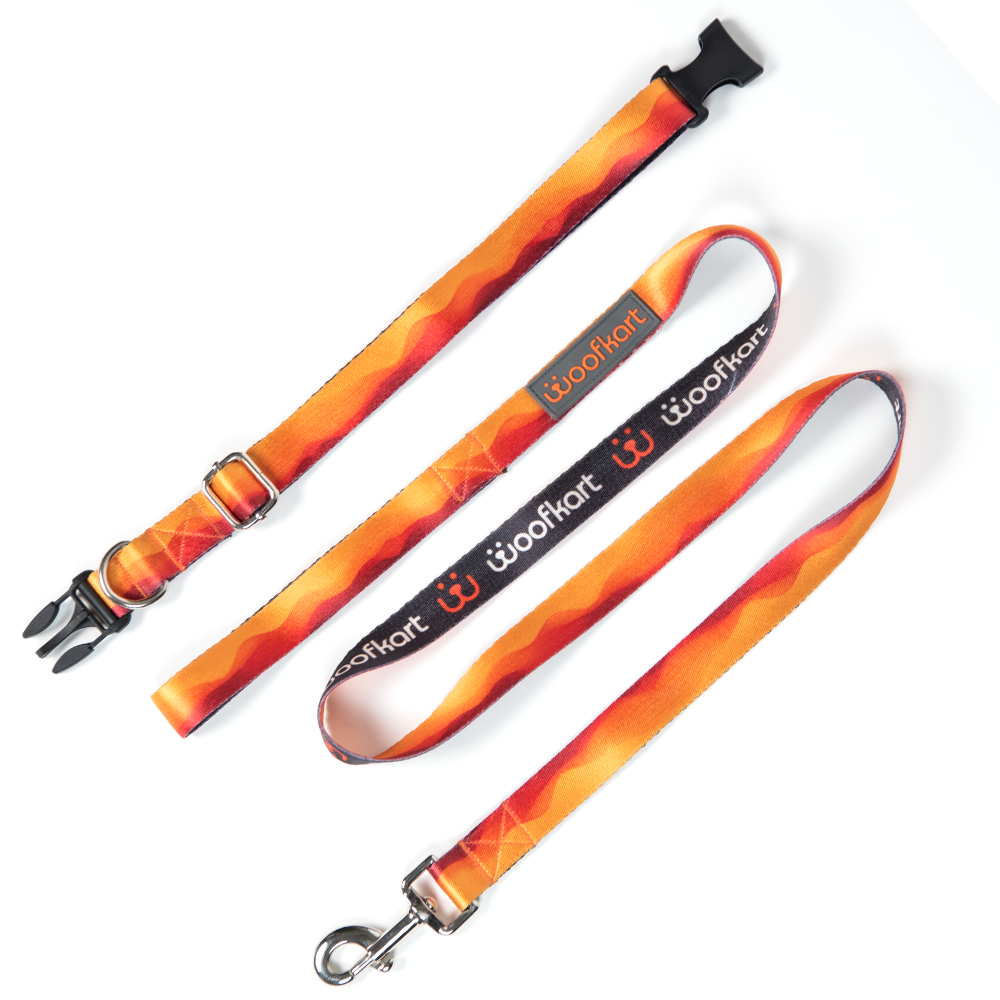 Sunset Waves Collar & Leash Set