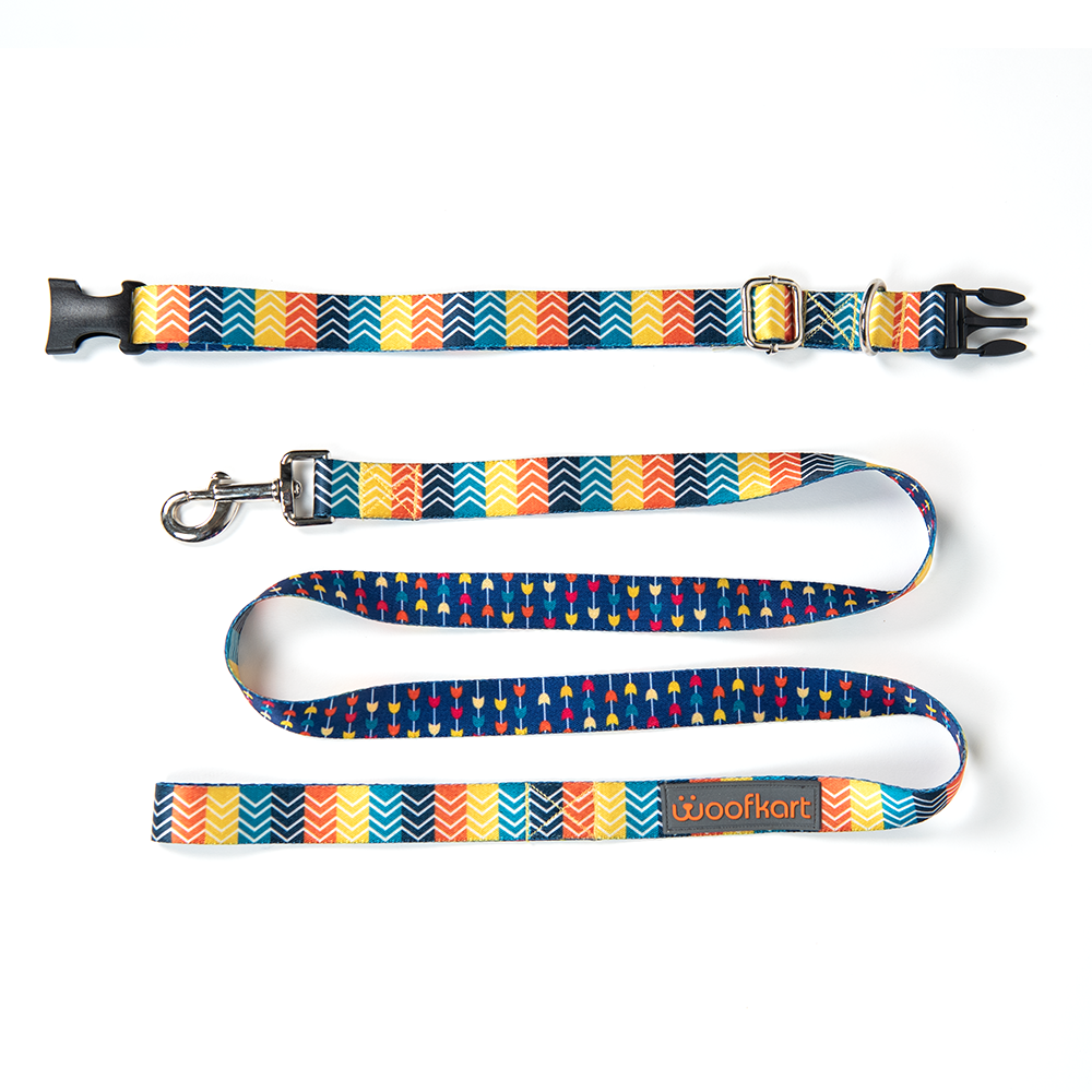 Stripes in Garden Collar & Leash Set