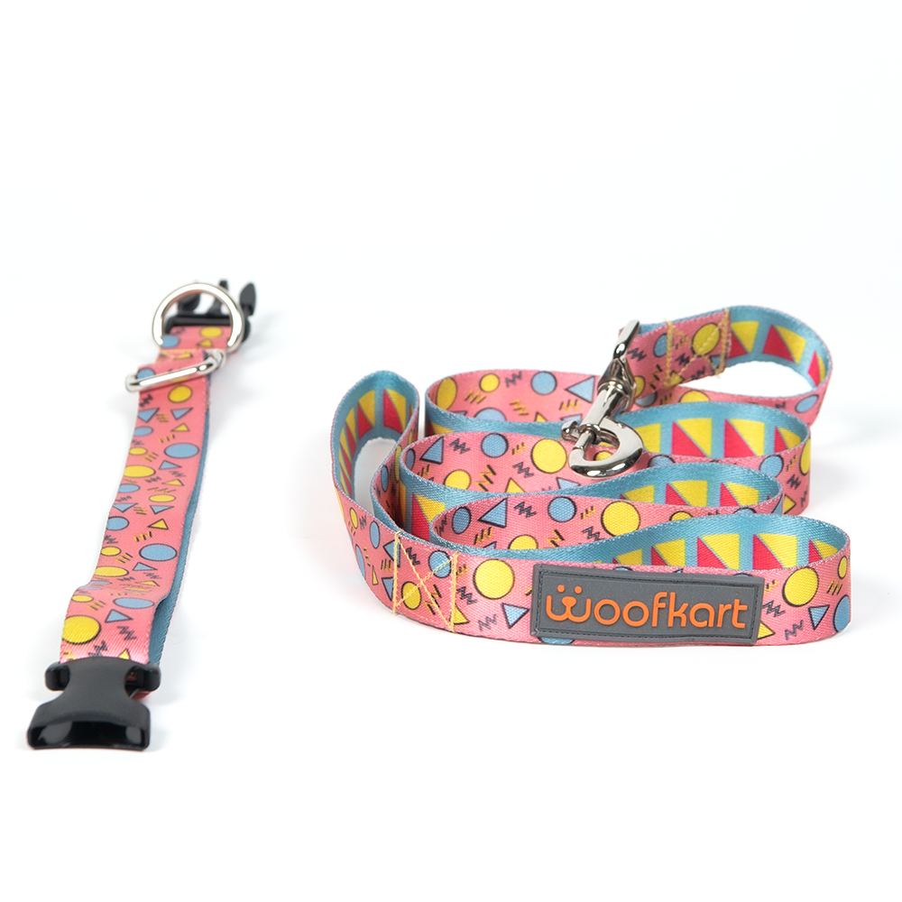 Shapes in Pink Collar & Leash Set