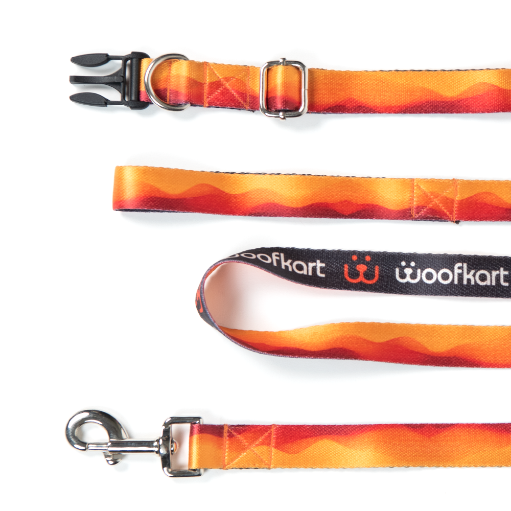 Sunset Waves Collar & Leash Set