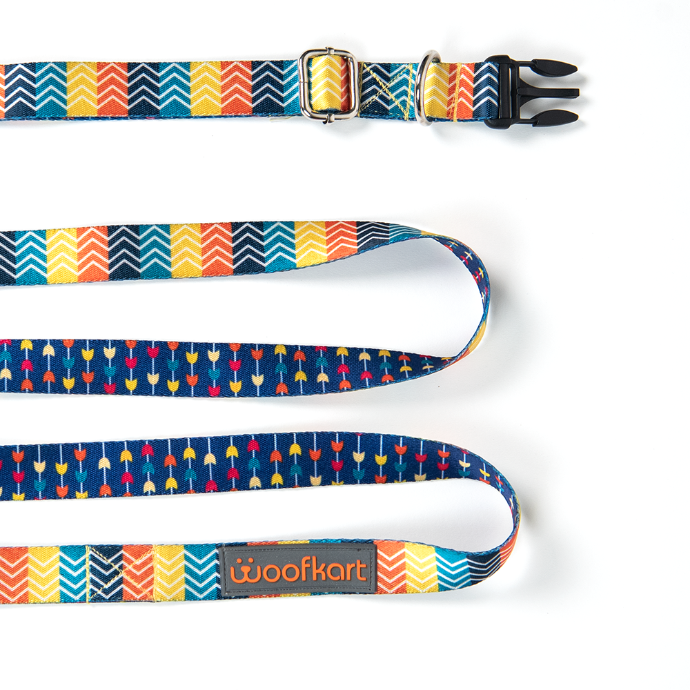 Stripes in Garden Collar & Leash Set