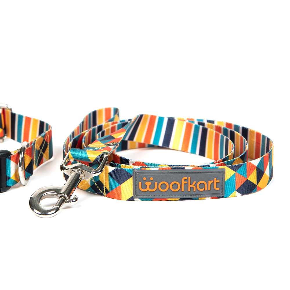 Geometric & Stripes Collar & Leash Set