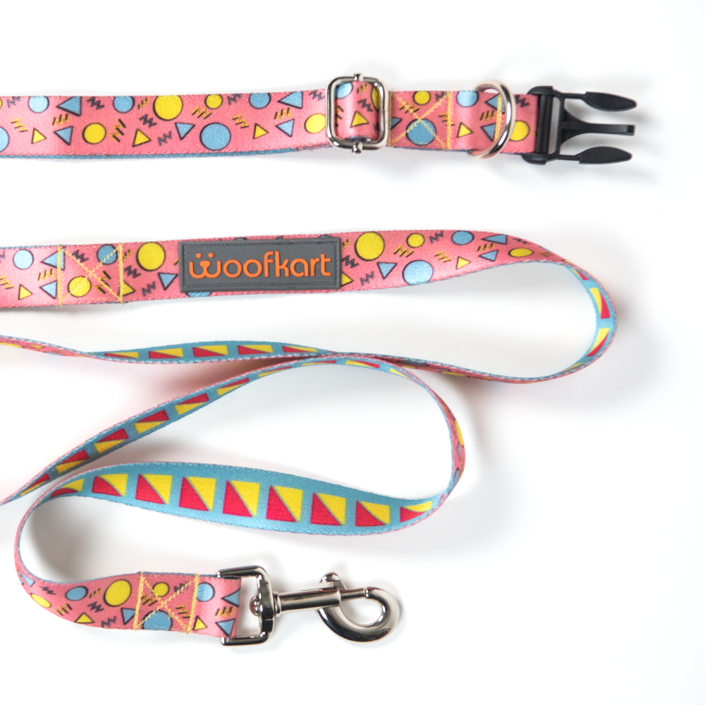 Shapes in Pink Collar & Leash Set