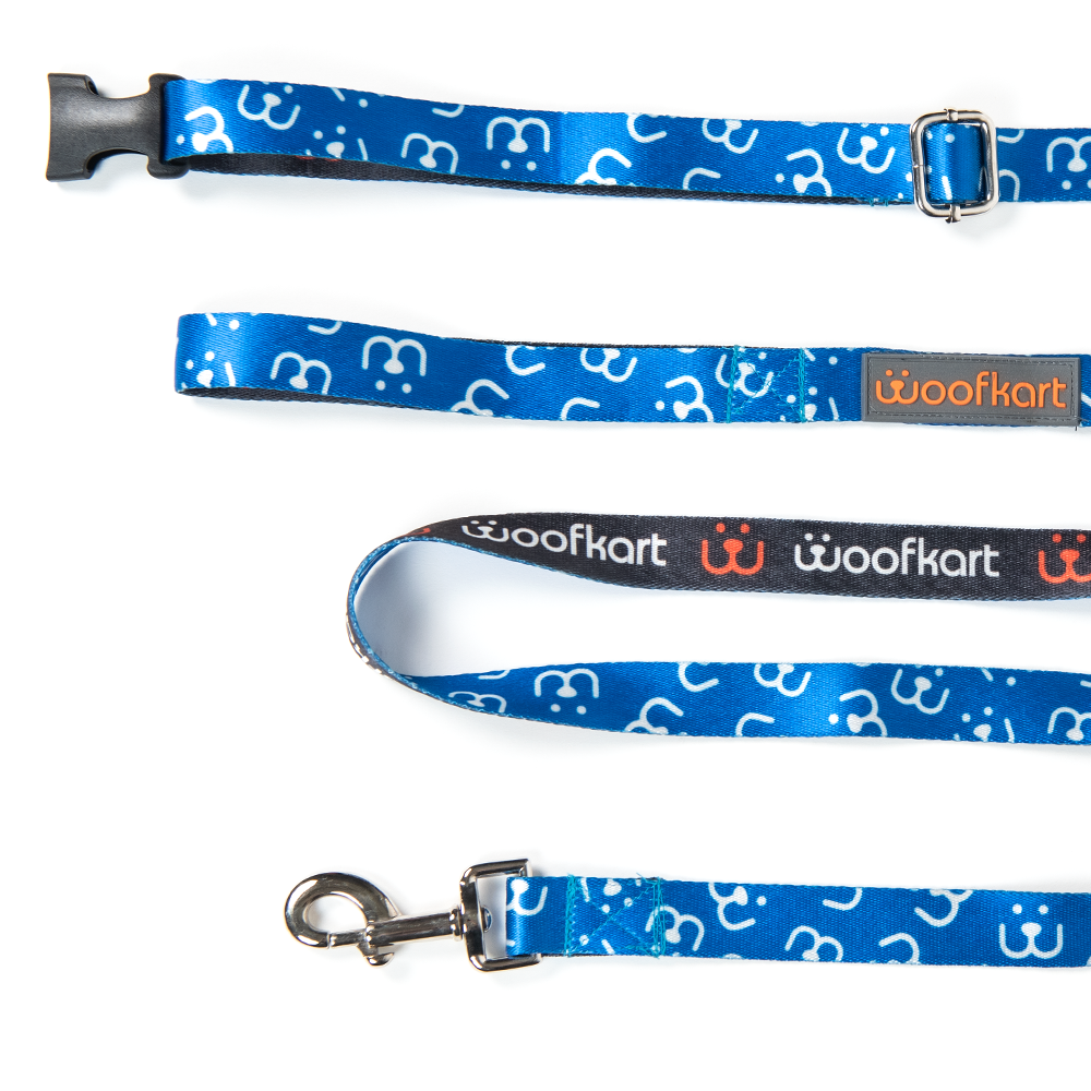 Woof Special Collar & Leash Set