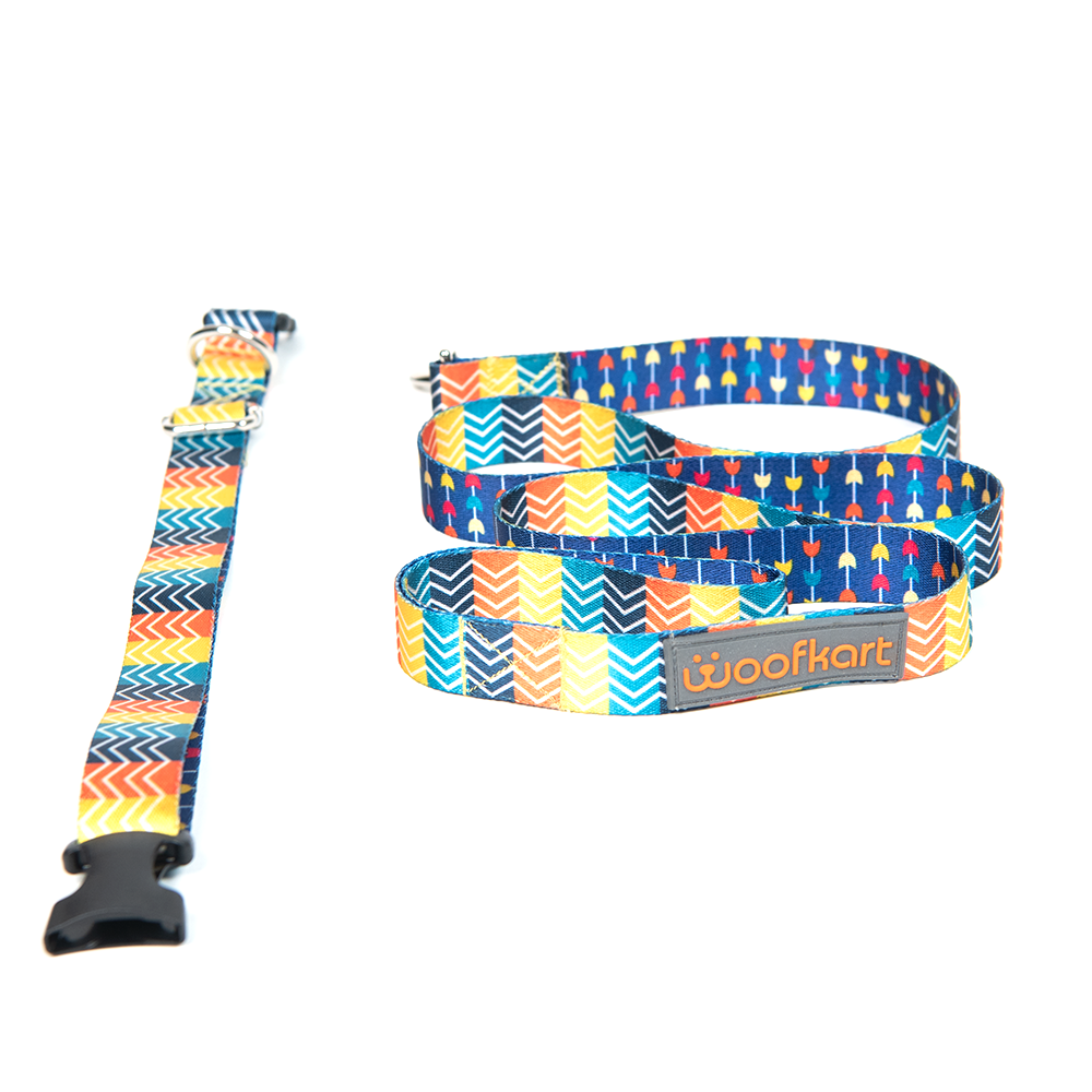 Stripes in Garden Collar & Leash Set