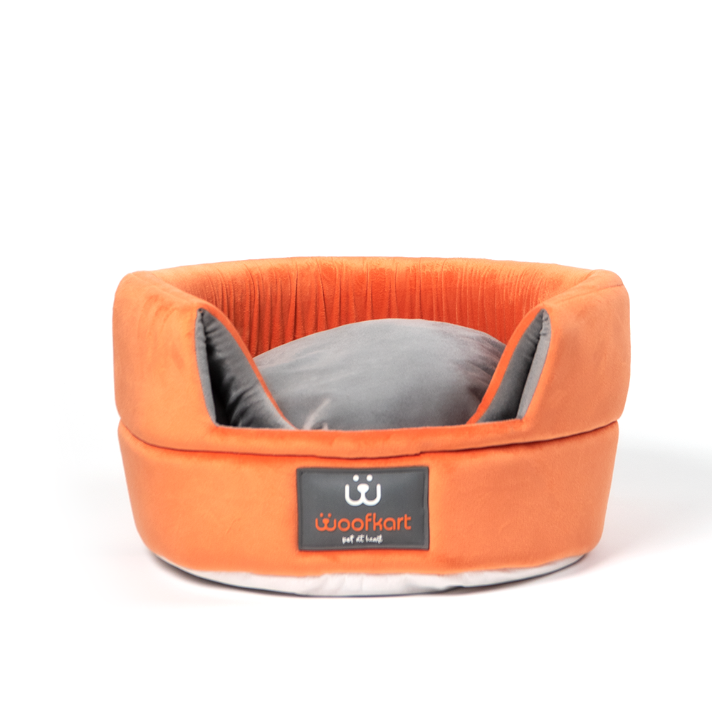The Cat Cave Foldable Bed