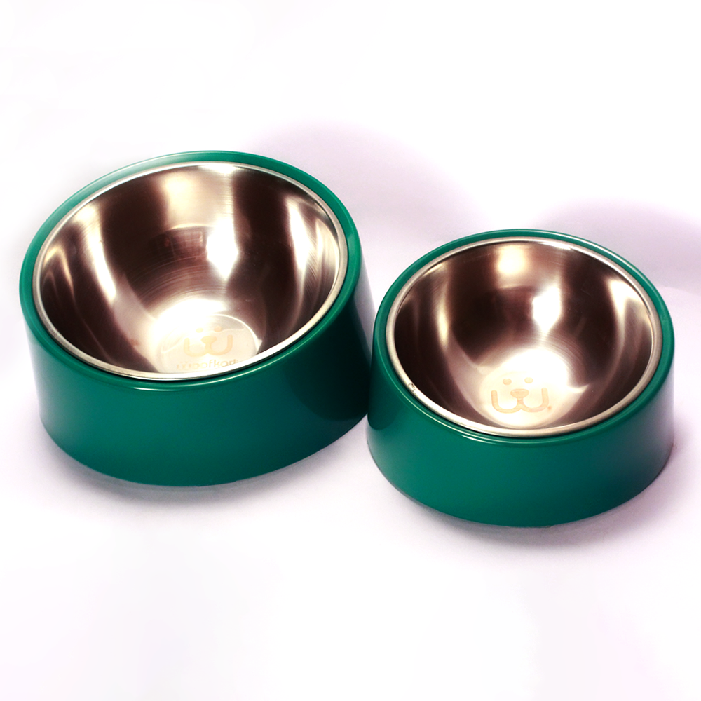 Slanted Dog Bowl